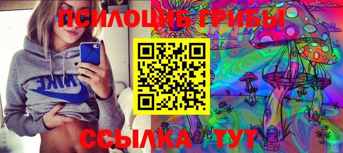 Псилоцибиновые грибы Psilocybine cubensis Железногорск