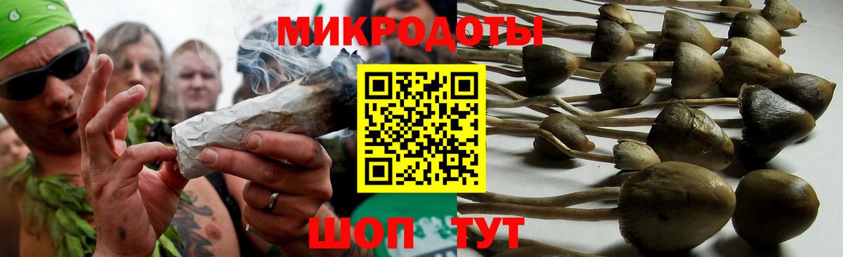 Галлюциногенные грибы прущие грибы  Вход с VPN  Железногорск 
